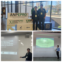 O “PPGEP-So Divulga” de hoje compartilha com a comunidade participação de discentes do PPGEP-So no EPPGEP 2025